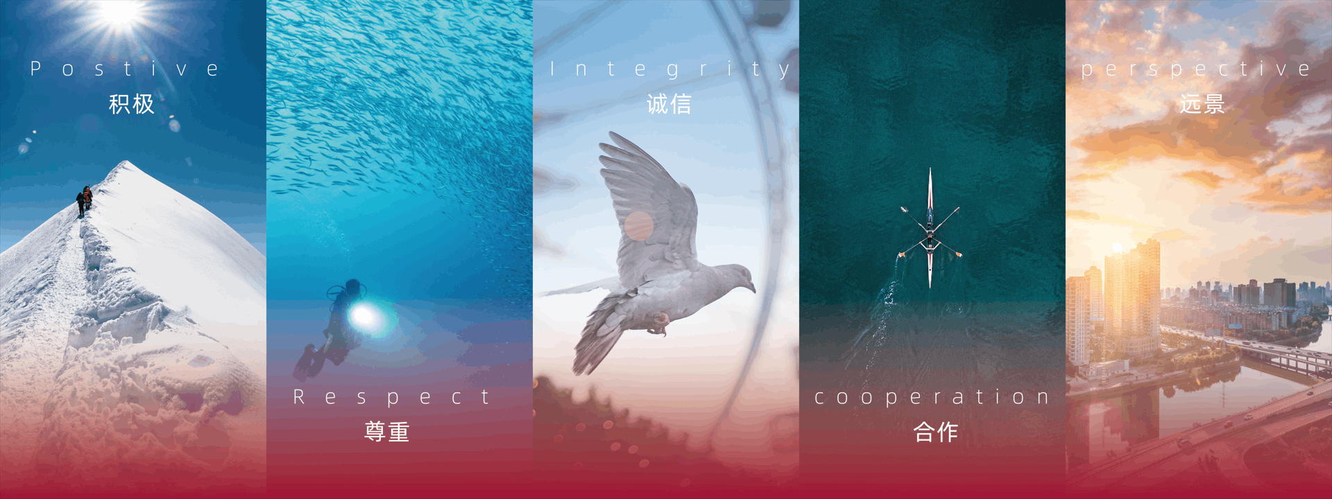 積極，尊重，誠信，合作，遠(yuǎn)景