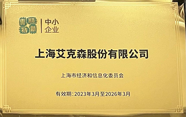 24/07/22 艾克森榮獲上海“專(zhuān)精特新”換熱設(shè)備企業(yè)證書(shū)，持續(xù)引領(lǐng)板式換熱行業(yè)與系統(tǒng)集成機(jī)組的創(chuàng)新發(fā)展